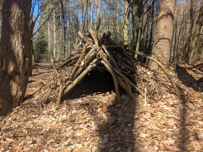 Unterschlupf aus Ästen und Laub im Wald